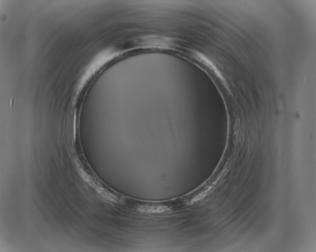 X0000085831323200703301609