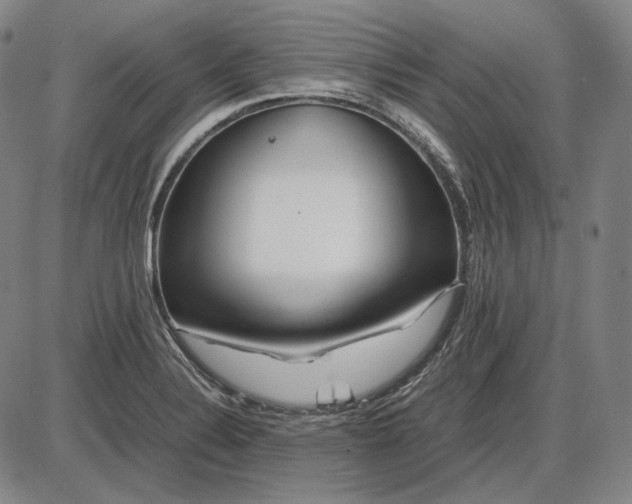 X0000085831324200703301609