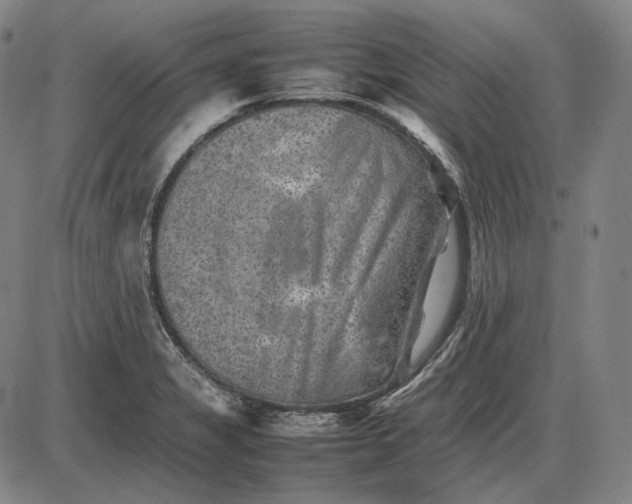 X0000085831325200703301609