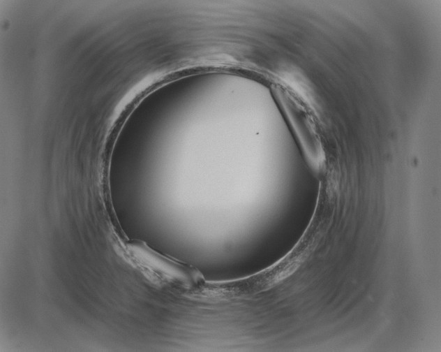 X0000085831326200703301609