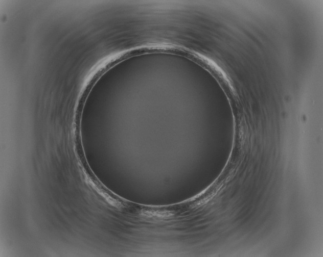 X0000085831327200703301609