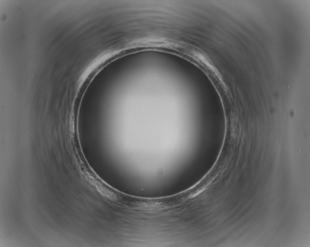 X0000085831328200703301609