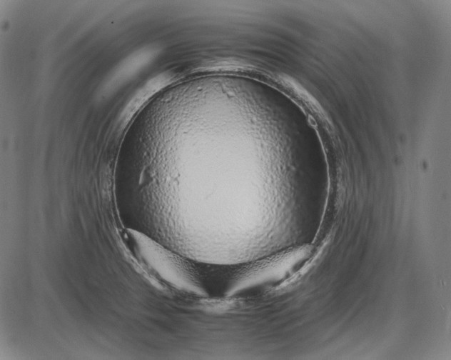 X0000085831329200703301609