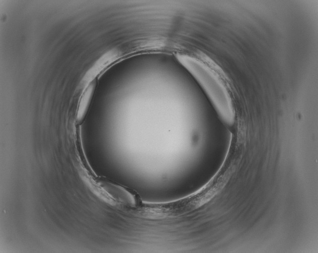 X0000085831330200703301609