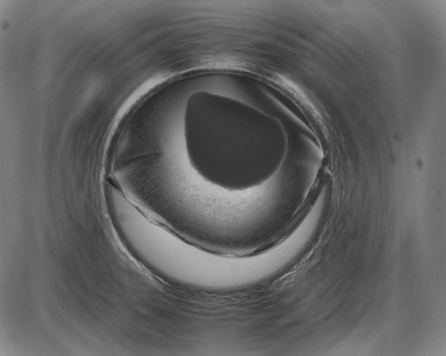 X0000085831331200703301609