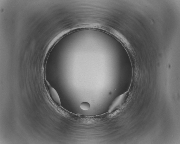 X0000085831332200703301609