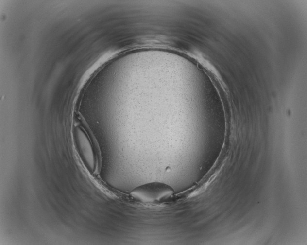 X0000085831333200703301609