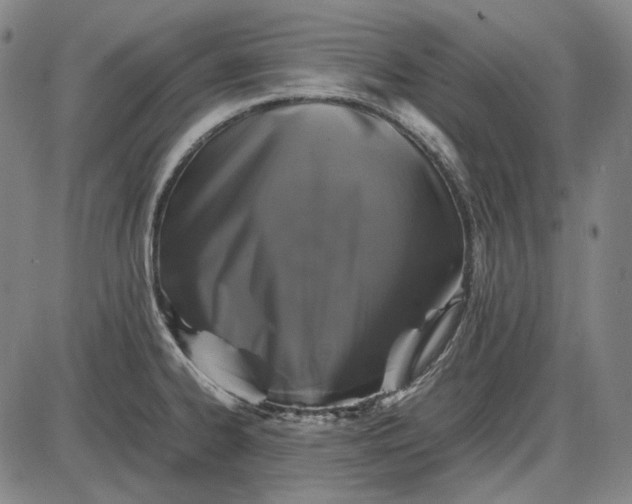 X0000085831334200703301609