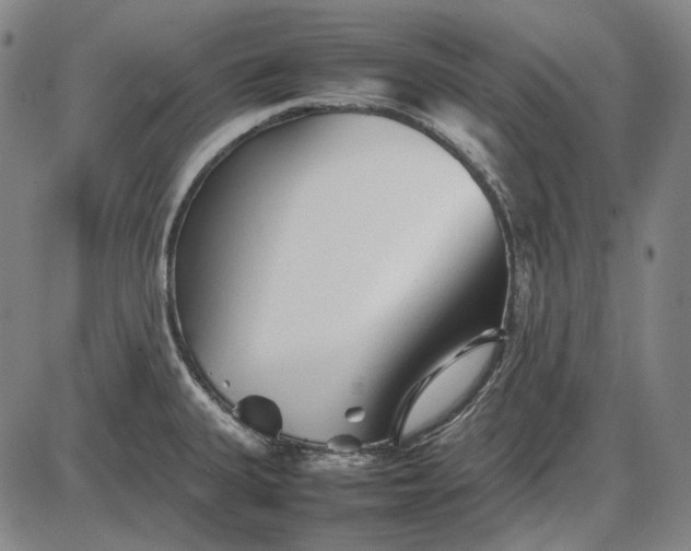 X0000085831335200703301609