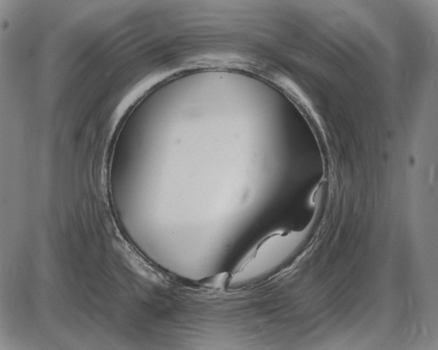 X0000085831336200703301609