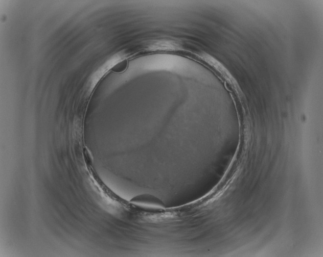 X0000085831337200703301609