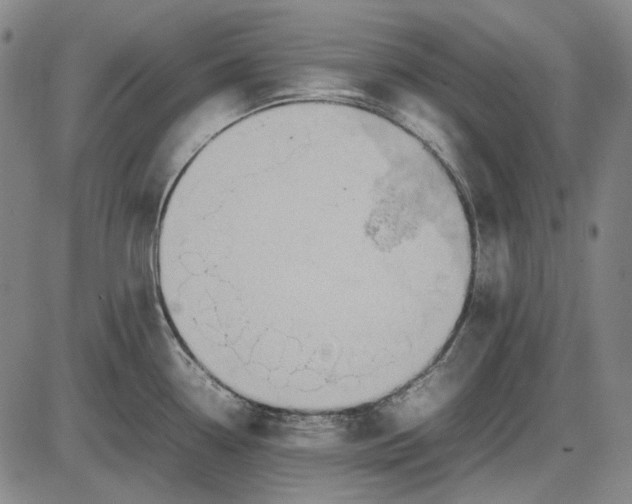 X0000085831338200703301609