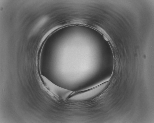 X0000085831339200703301609