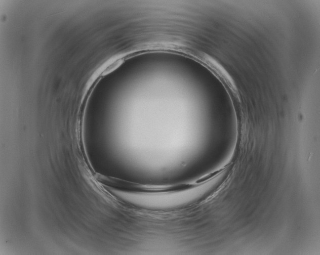 X0000085831340200703301609