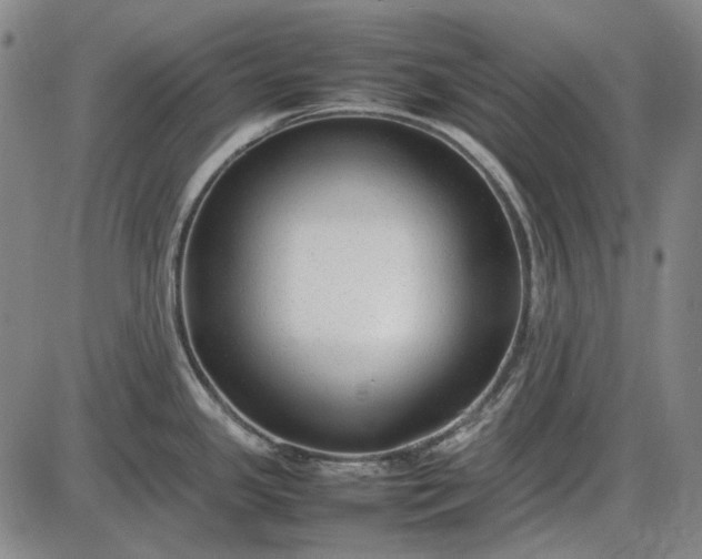 X0000085831341200703301609