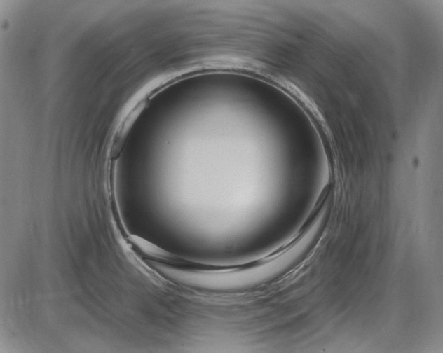 X0000085831342200703301609