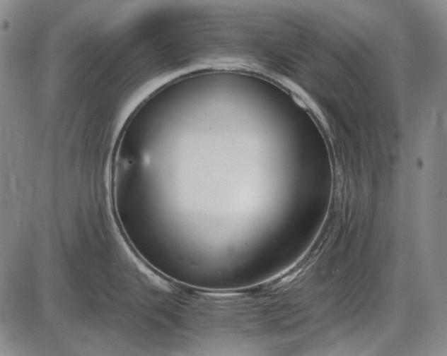 X0000085831343200703301609