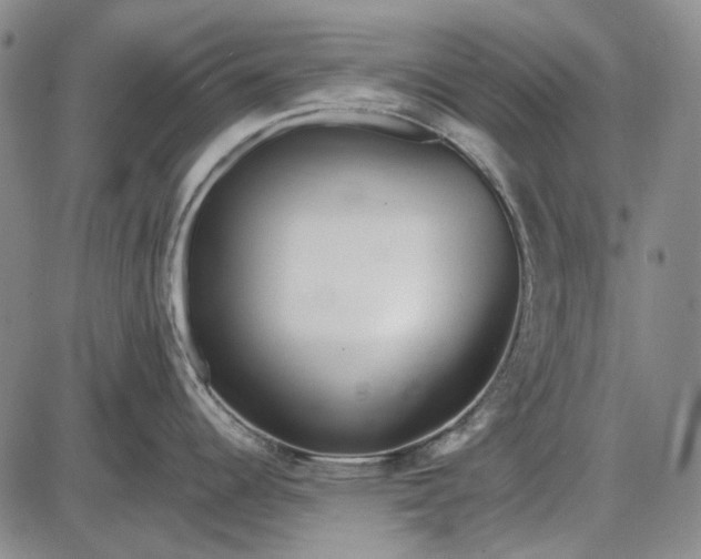 X0000085831344200703301609