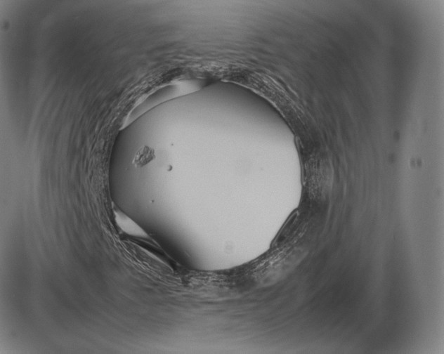 X0000085831345200703301609