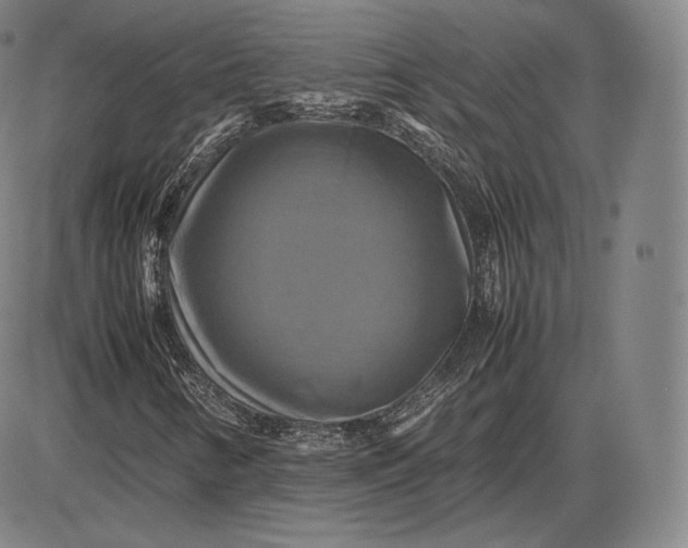 X0000085831346200703301609