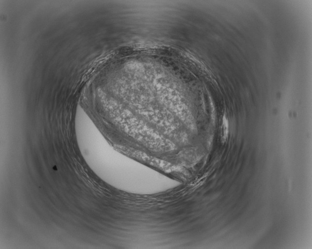 X0000085831348200703301609