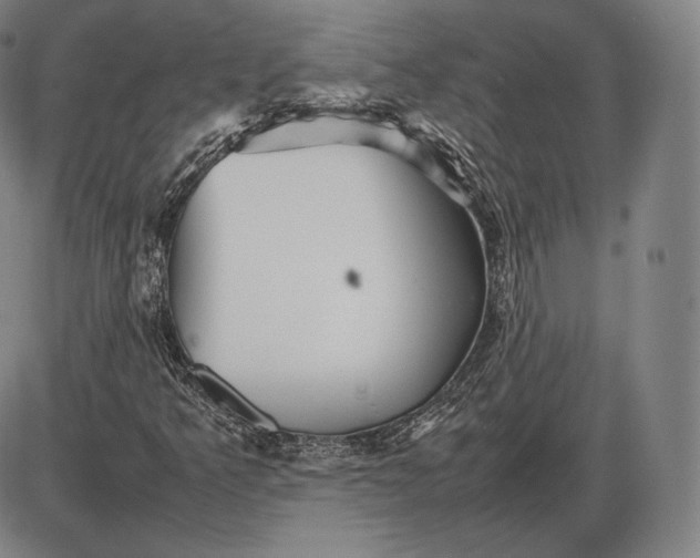 X0000085831349200703301609