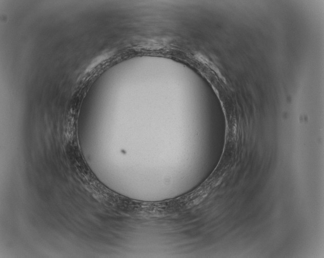 X0000085831350200703301609