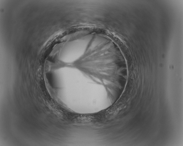 X0000085831351200703301608