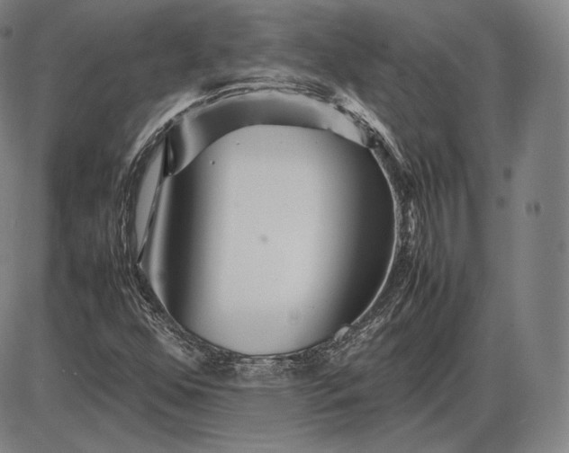 X0000085831352200703301608