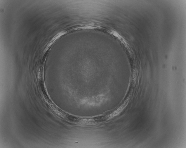 X0000085831353200703301608