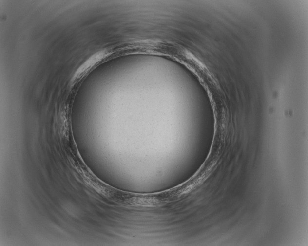 X0000085831354200703301608