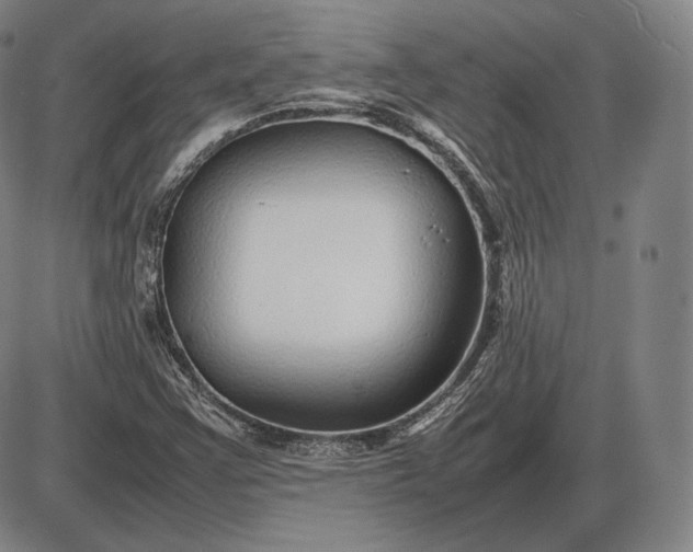 X0000085831355200703301608