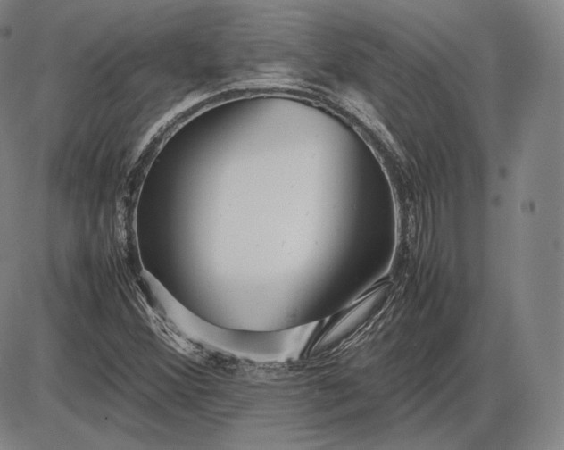 X0000085831356200703301608