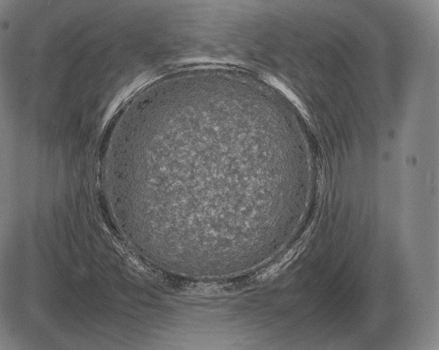 X0000085831357200703301608