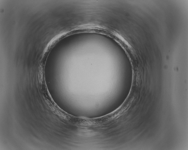 X0000085831358200703301608