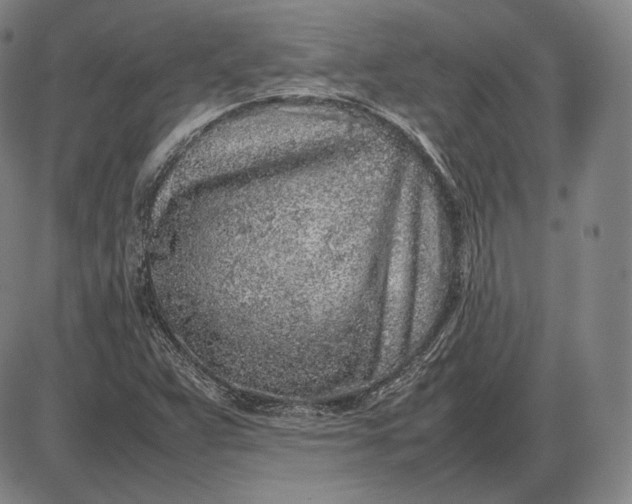 X0000085831359200703301608