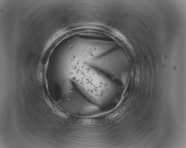 X0000085831360200703301608