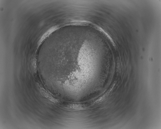 X0000085831362200703301608