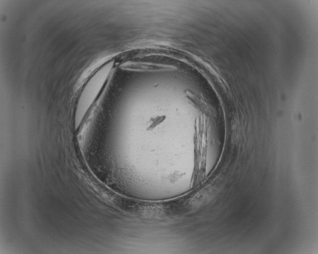 X0000085831363200703301608