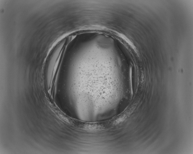 X0000085831364200703301608