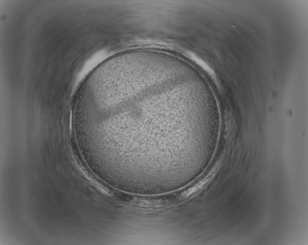 X0000085831365200703301608