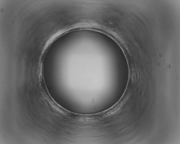 X0000085831366200703301608