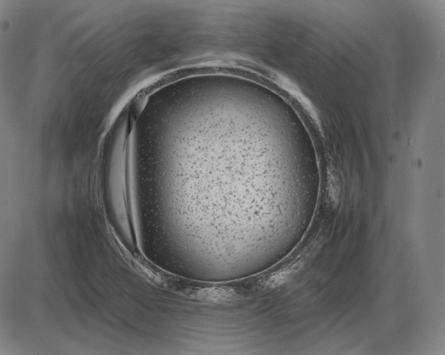 X0000085831368200703301608