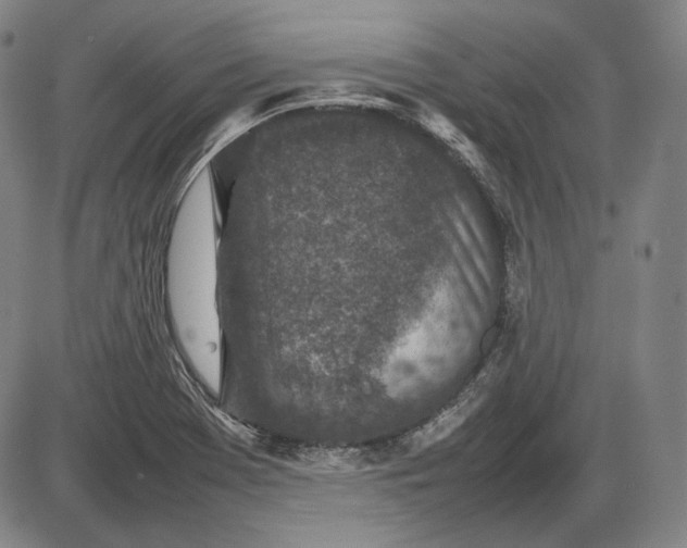 X0000085831369200703301608