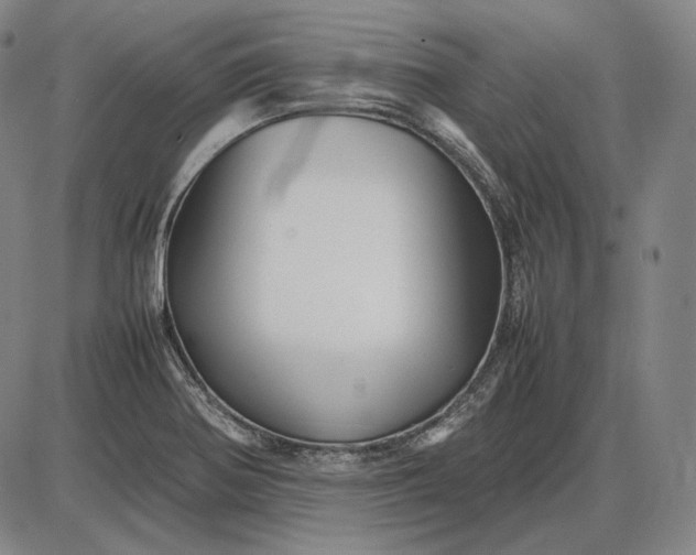 X0000085831370200703301608