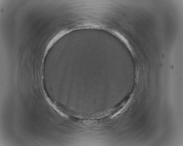 X0000085831373200703301608