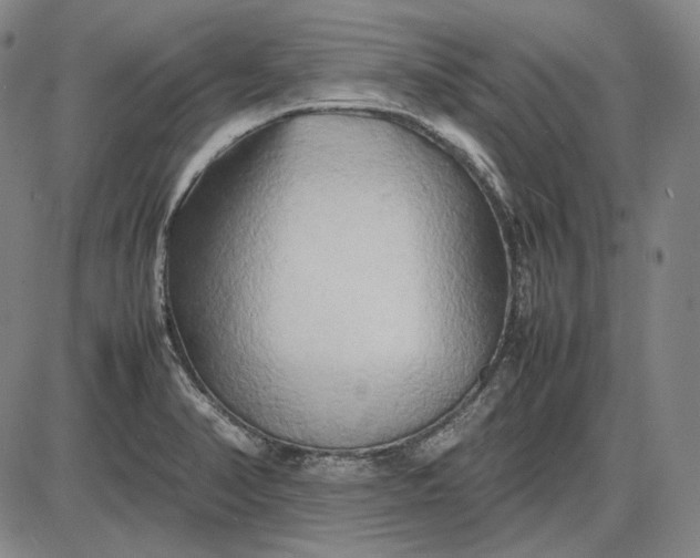 X0000085831374200703301608