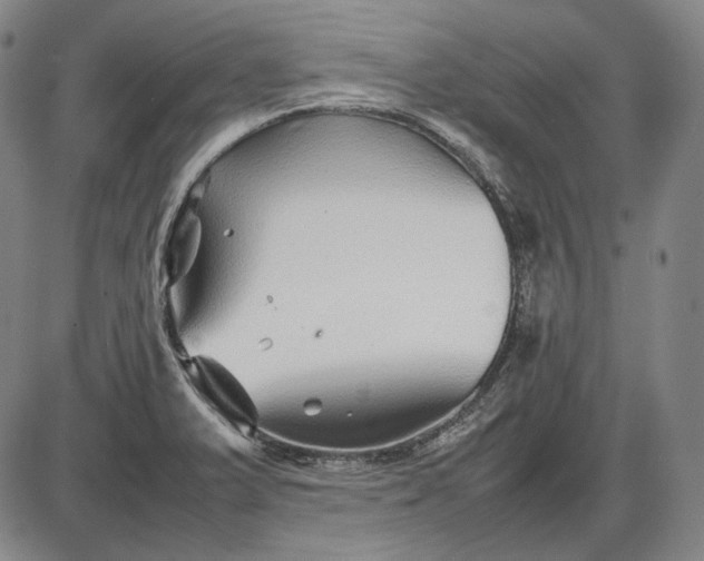 X0000085831375200703301608