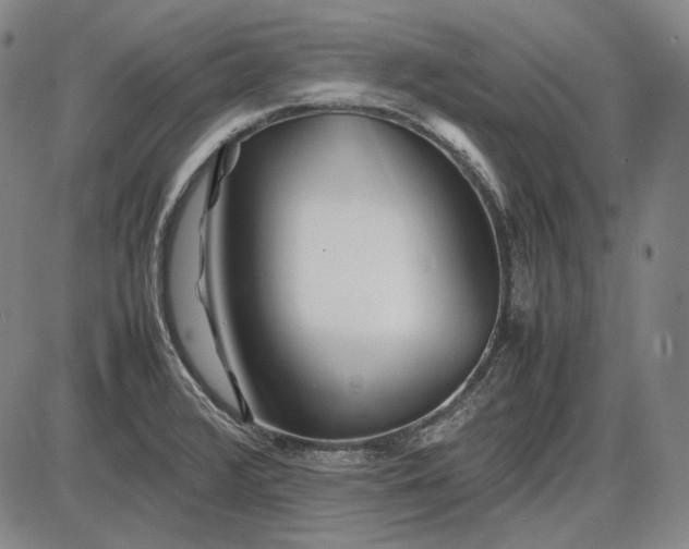 X0000085831376200703301608