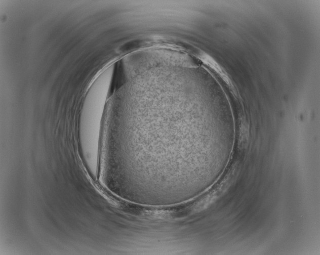 X0000085831377200703301608